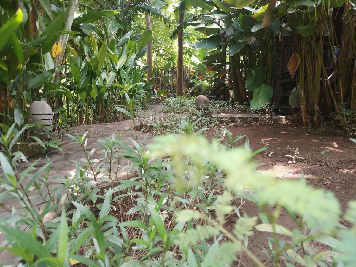 אמד Ocean Prana Village מראה חיצוני תמונה